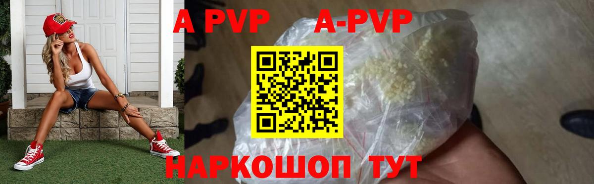Альфа ПВП СК КРИС Сунжа