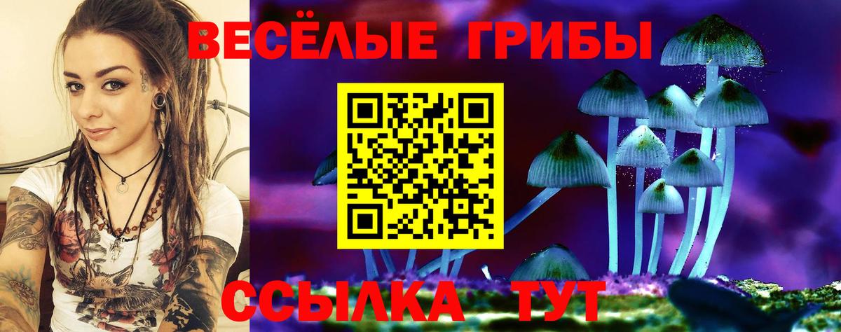 Галлюциногенные грибы Cubensis Сунжа