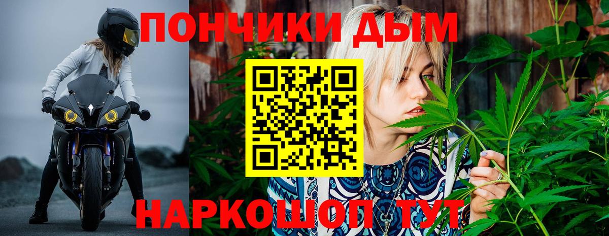 Марихуана сатива  Бошки марихуана AK-47  Канабис планчик  Канабис ГИДРОПОН  Сунжа  Вход с VPN 